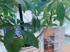 -Jazz·ya 爵士屋(来福士店)