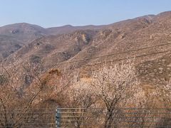 -妙峰山风景名胜区