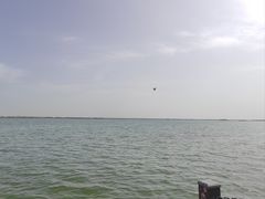 -包头南海湿地景区