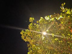-阳澄湖半岛旅游度假区