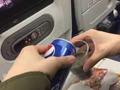 -全日本空输株式会社(上海办事处)