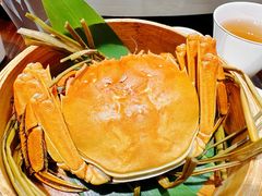 阳澄湖大闸蟹-火福·天湖阁大闸蟹博物馆主题餐厅(浅水湾店)