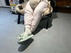 -琪喵猫屋·撸猫猫咖·猫舍