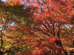 -常寂光寺