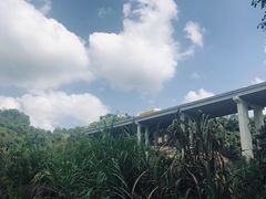 -红山村