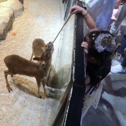 -酷嗒动物文化乐园(cutezoo西溪乐天城店)