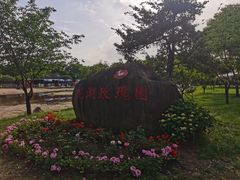 -鹅湖玫瑰文化园