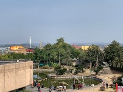 -自贡恐龙博物馆