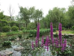 -陆地游轮吉林神农温泉