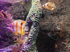 -沈阳海洋探索中心