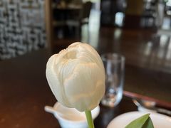 -九里云松·天香餐厅