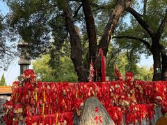 -大槐树寻根祭祖园