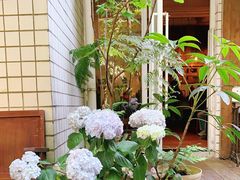 -懒鱼时光馆(沙坪坝店)