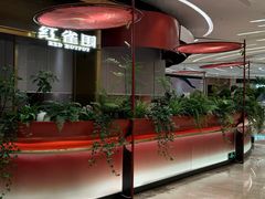 -红雀围·海鲜火锅(陆家嘴中心店)