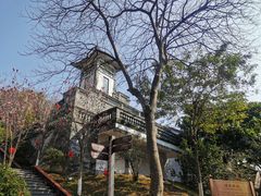 -广州神农草堂中医药博物馆