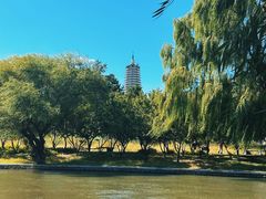 -舍利塔滩地公园-无垢净光舍利塔