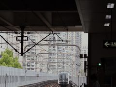 -王二甩老木子鸡(江湾店)