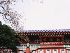 -灵谷景区