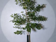-恒悦轩·粤菜(上海展览中心店)
