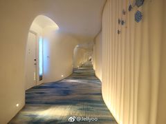 -深圳东部华侨城瀑布酒店