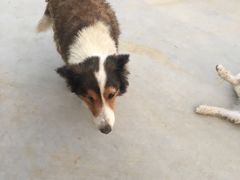 -兴福老面馆(寺路街店)