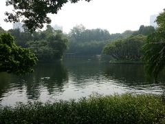-晓港公园