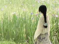 -白鹭湾湿地公园