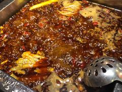 -红鼎坊·老成都火锅(新南门店)
