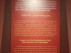 -西藏文化博物馆