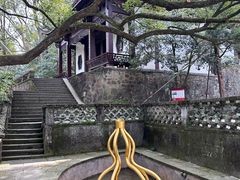 -虎跑公园
