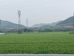 -李东农庄(中南百草园地标店)