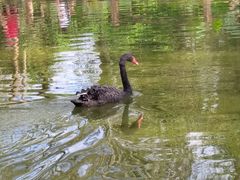 -海南热带野生动植物园