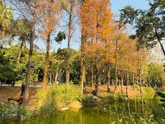 -人民公园(罗湖区)