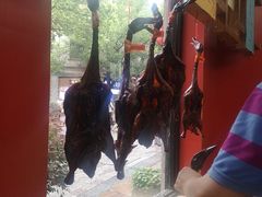 -万隆火腿庄