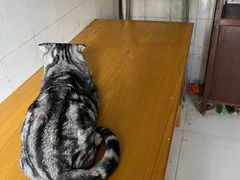 -西安市未央区汉城畜牧兽医站