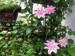 -家烧面馆【南山路知名经典面食】