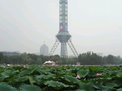 -裕华世纪公园