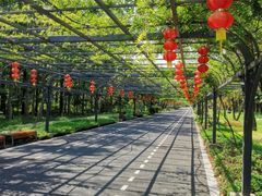 -东平国家森林公园