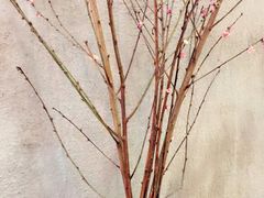 -MIKAKU(万达广场上海宝山店)