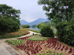 -古堰画乡景区
