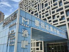 -证大喜玛拉雅中心