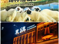 -东镇老火锅(长春路首店)