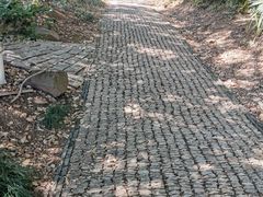 -苏州上方山国家森林公园