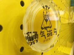 -勇气斑马·巴西柔术&跆拳道(浦东三林店)