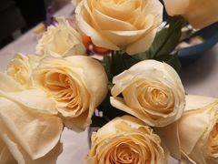 -胖墩重庆面馆(鹏广达·公园道店)