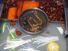 -蜀九鼎·四川火锅·毛肚是招牌(惠安店)