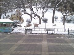 -紫竹院公园冰场