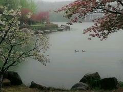 -白马涧龙池景区