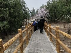 -白水寺森林公园