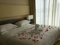 -芽庄喜来登水疗酒店
